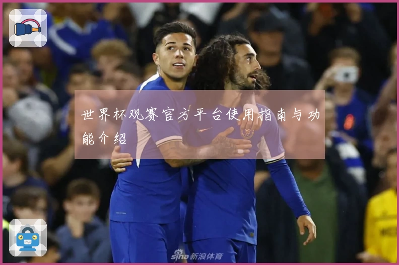 世界杯观赛官方平台使用指南与功能介绍