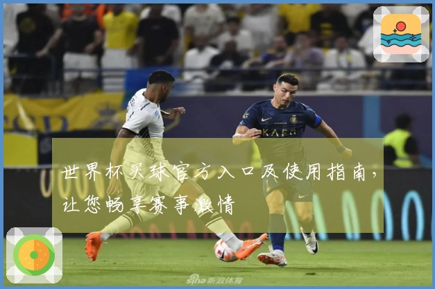 世界杯买球官方入口及使用指南，让您畅享赛事激情
