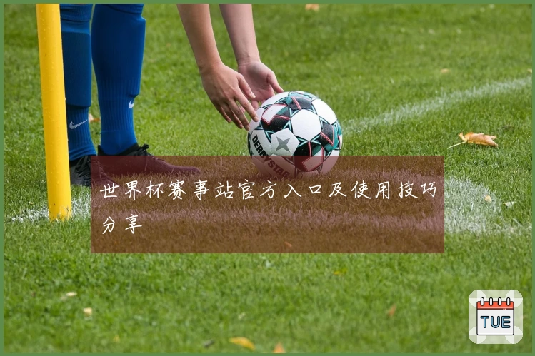 世界杯赛事站官方入口及使用技巧分享