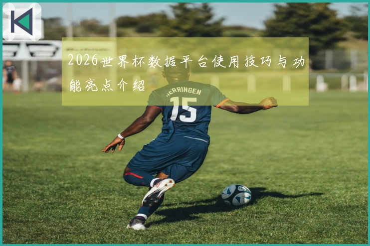 2026世界杯数据平台使用技巧与功能亮点介绍