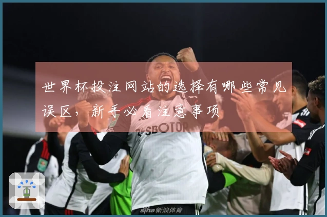 世界杯投注网站的选择有哪些常见误区，新手必看注意事项