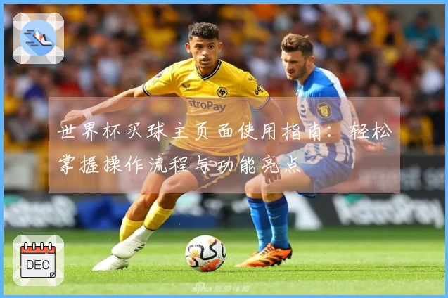 世界杯买球主页面使用指南：轻松掌握操作流程与功能亮点