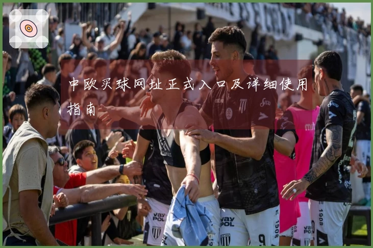 中欧买球网址正式入口及详细使用指南