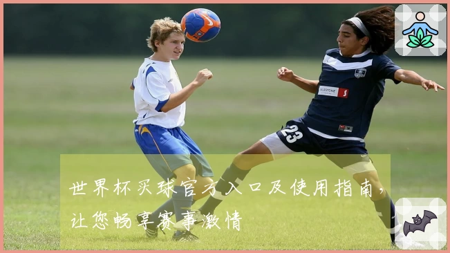 世界杯买球官方入口及使用指南，让您畅享赛事激情