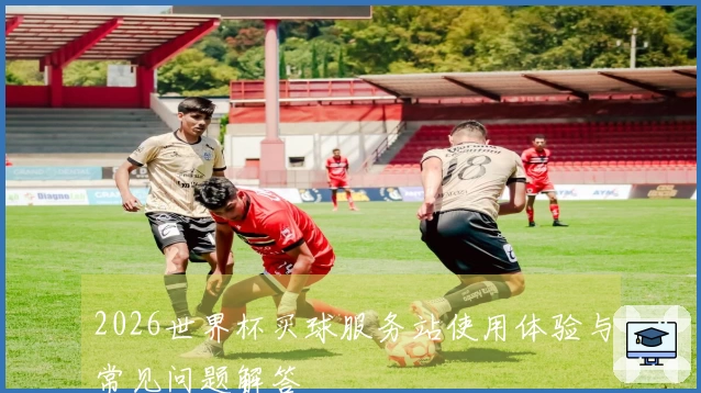 2026世界杯买球服务站使用体验与常见问题解答