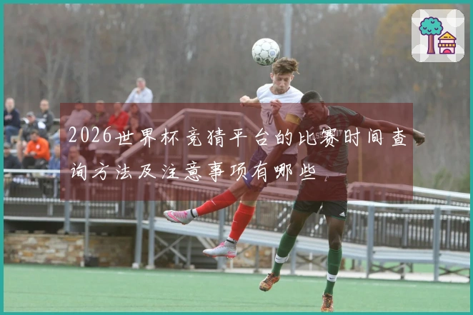 2026世界杯竞猜平台的比赛时间查询方法及注意事项有哪些
