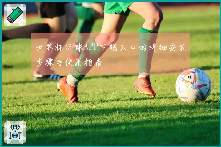 世界杯买球APP下载入口的详细安装步骤与使用指南