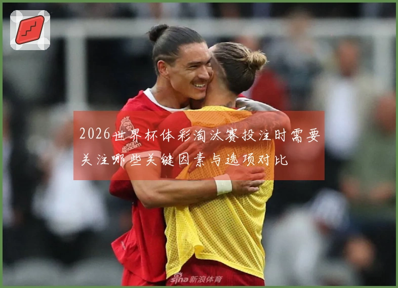 2026世界杯体彩淘汰赛投注时需要关注哪些关键因素与选项对比