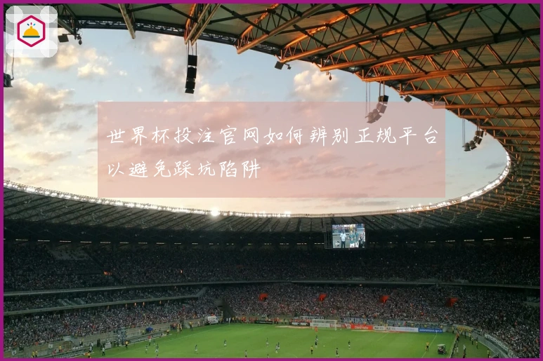 世界杯投注官网如何辨别正规平台以避免踩坑陷阱