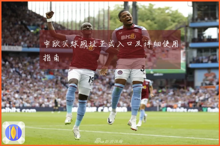 中欧买球网址正式入口及详细使用指南