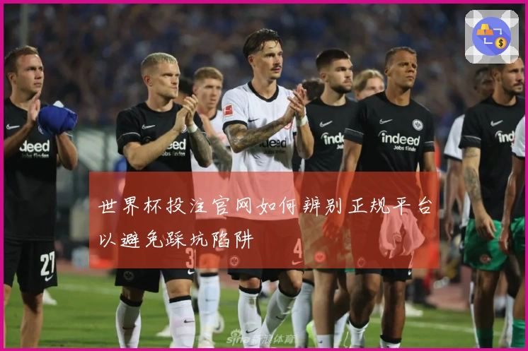 世界杯投注官网如何辨别正规平台以避免踩坑陷阱